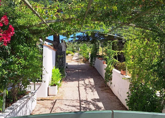 Voga Tatil Evi *