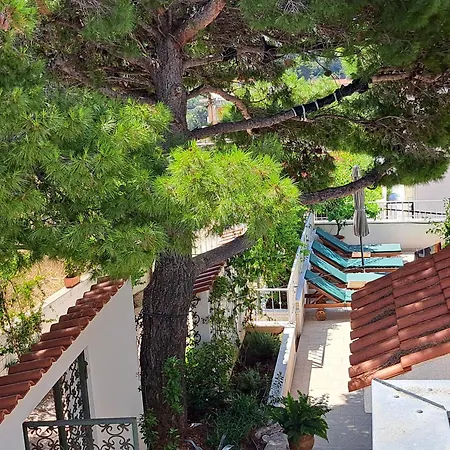 Holiday Voga Maslinica