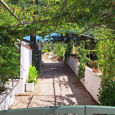 Holiday Voga Holiday home *