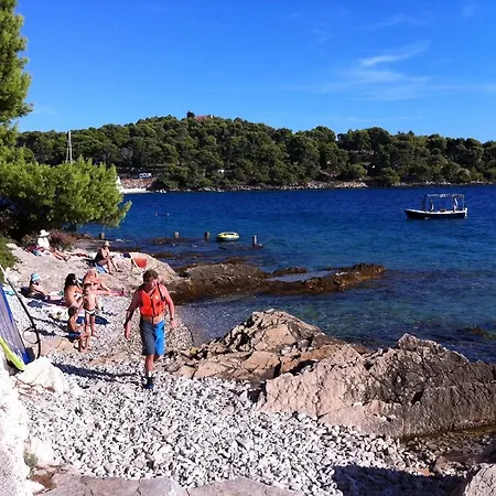 Holiday Voga Maslinica